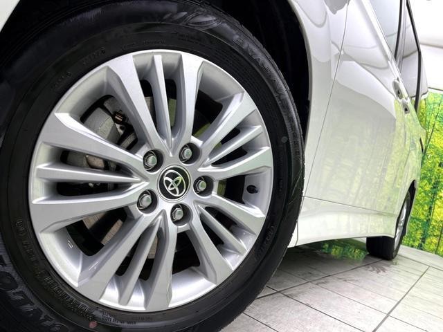 26357177_carP_l_19.jpg
