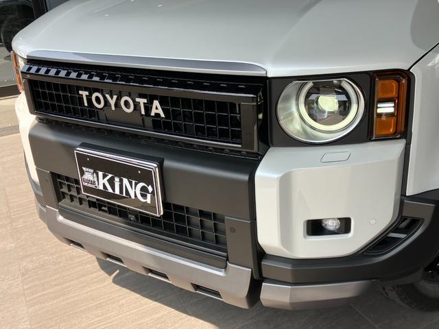 1020099A30260530W00304.jpg