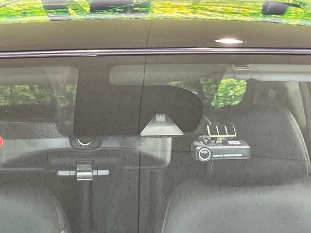 26127142_carP_l_15.jpg