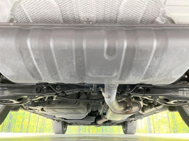25885008_carP_l_16.jpg