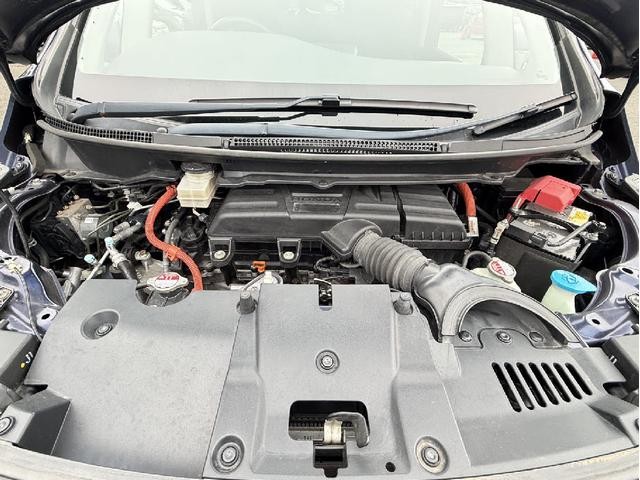 0902396A20261006G00218.jpg