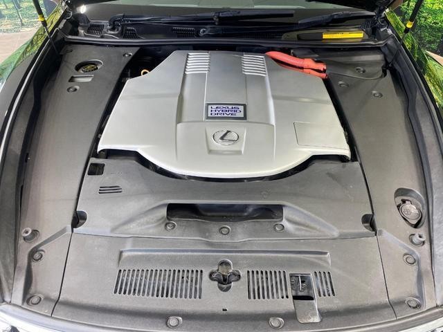 25774764_carP_l_18.jpg