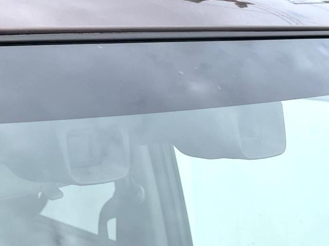 24912659_carP_l_10.jpg