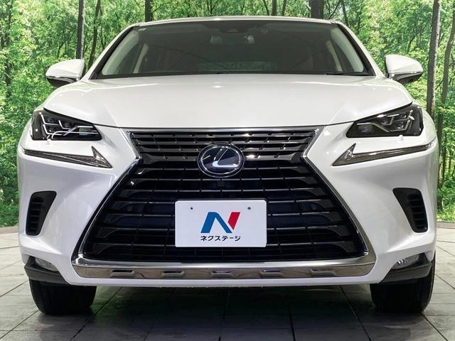 26314632_carP_l_8.jpg