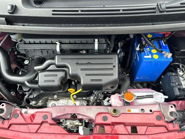24912936_carP_l_16.jpg