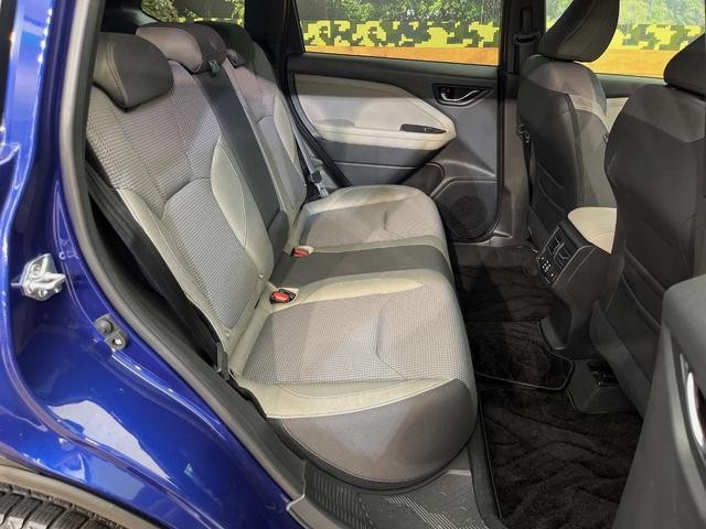 27031965_carP_l_2.jpg