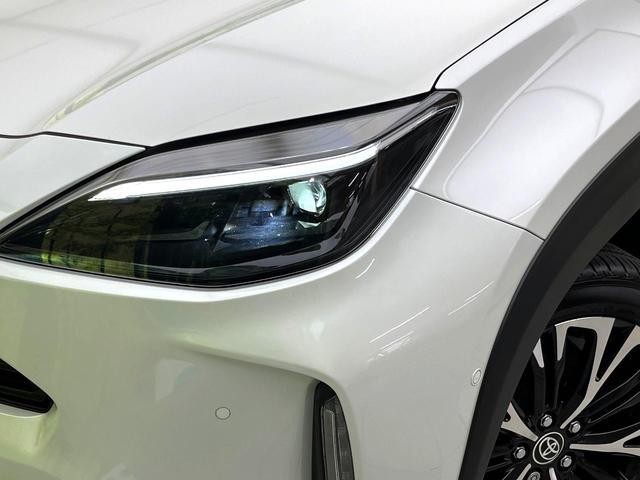 26838477_carP_l_6.jpg