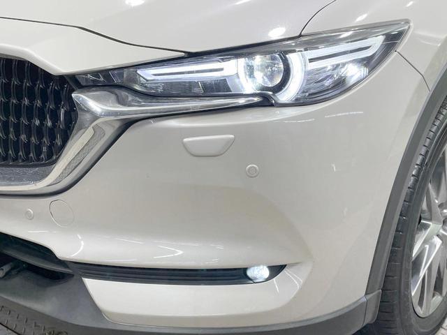 23438303_carP_l_7.jpg