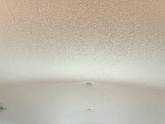 0560069A20260328W00813.jpg
