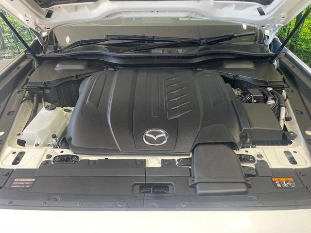 24726533_carP_l_18.jpg