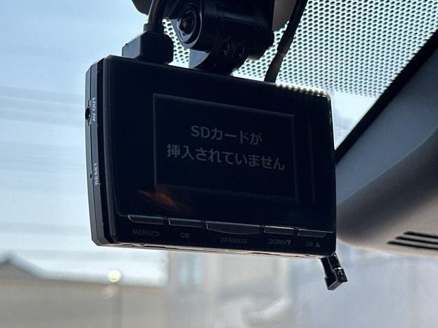 26100066_carP_l_8.jpg