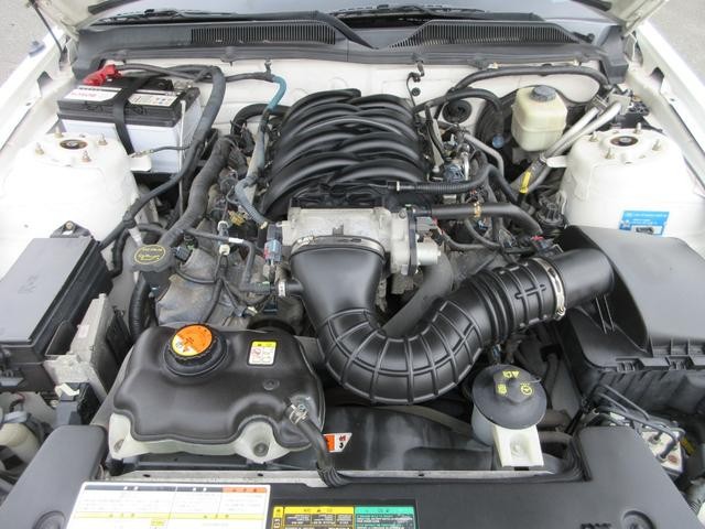 0206396A30261002W00109.jpg