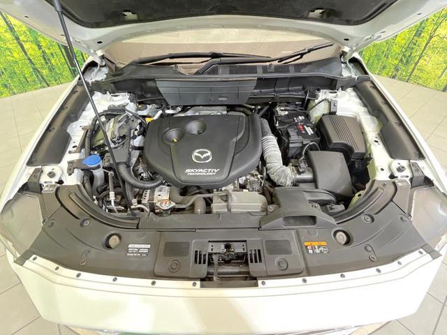 23457809_carP_l_16.jpg