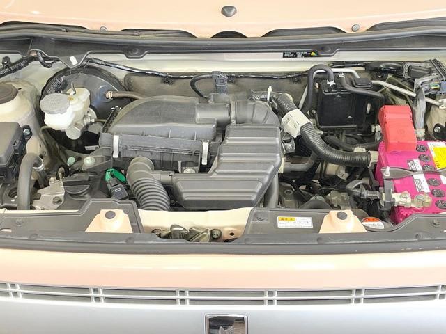 24008751_carP_l_12.jpg
