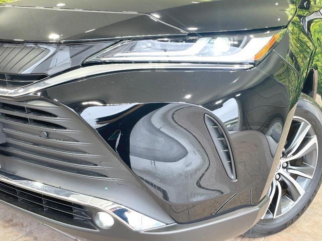 24726536_carP_l_6.jpg