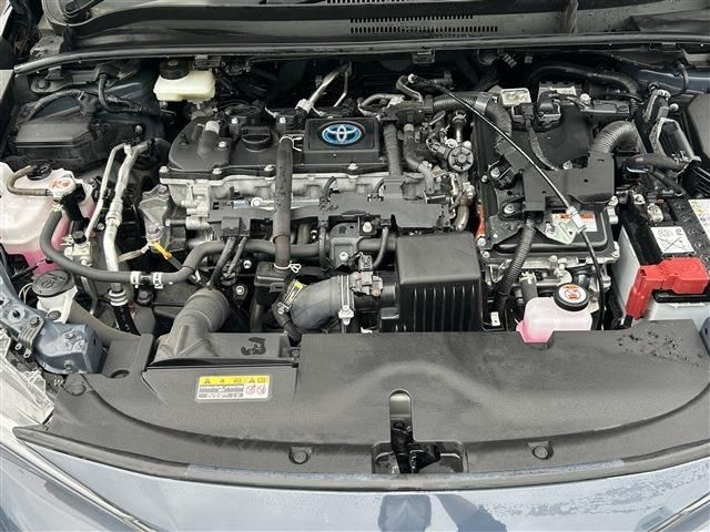 50bde48a2cea6f49dcd92296522b8468.jpg