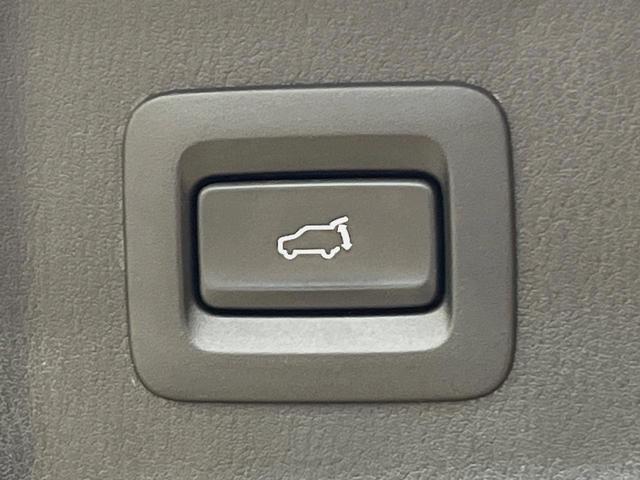23477741_carP_l_17.jpg