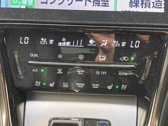 26085342_carP_l_6.jpg