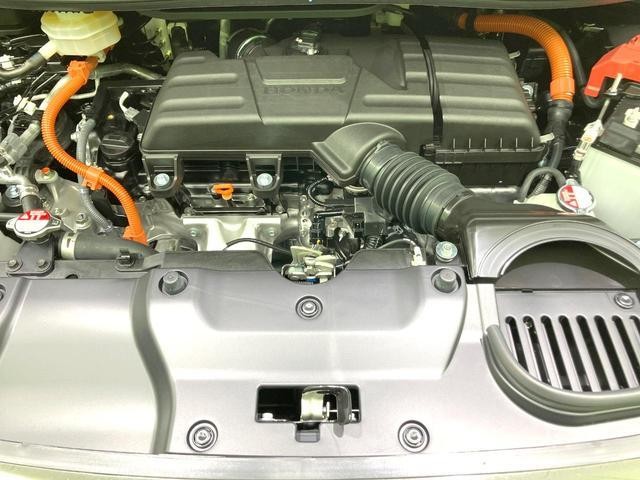 26314729_carP_l_18.jpg