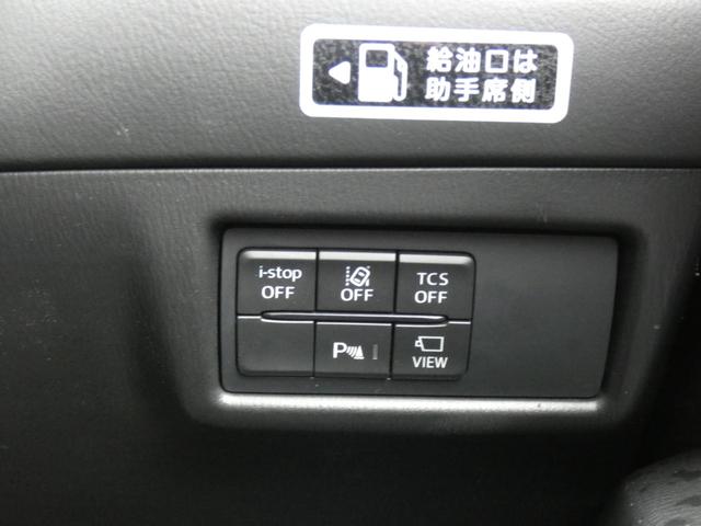 21746825_carP_l_1.jpg