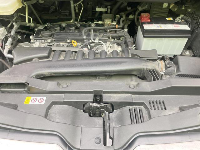 23904493_carP_l_18.jpg
