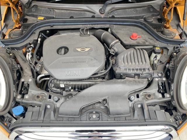25719751_carP_l_17.jpg