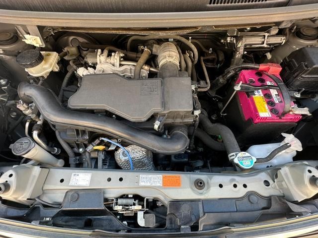 25904066_carP_l_18.jpg