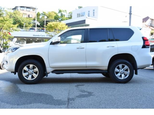 26064666_carP_l_4.jpg