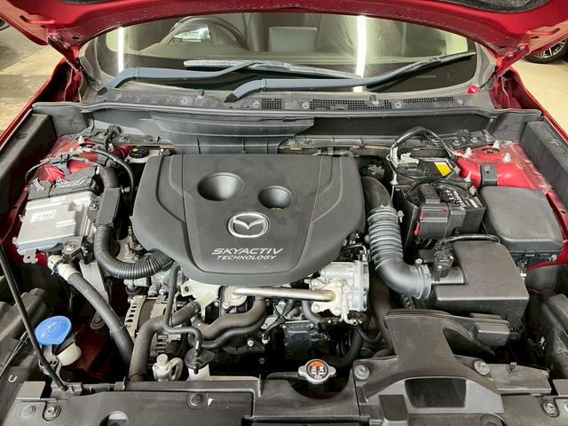 0840402A30260508W00217.jpg