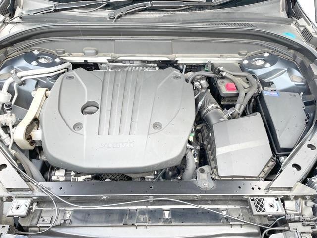 25792856_carP_l_18.jpg
