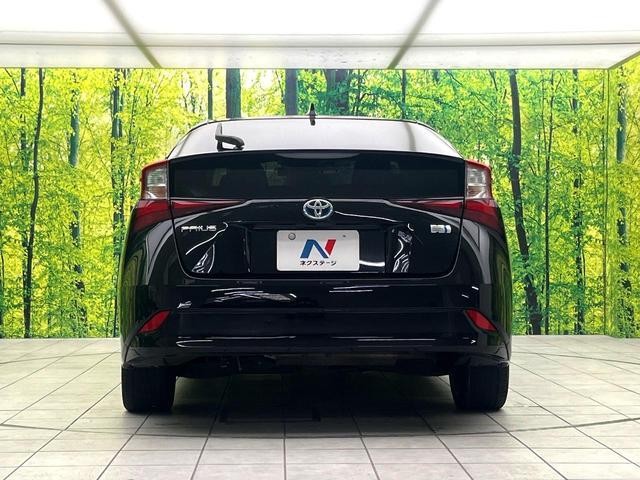 26946786_carP_l_9.jpg