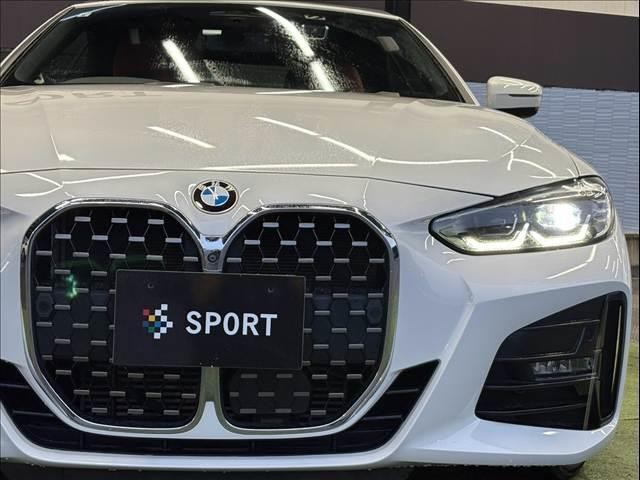 26372097_carP_l_20.jpg