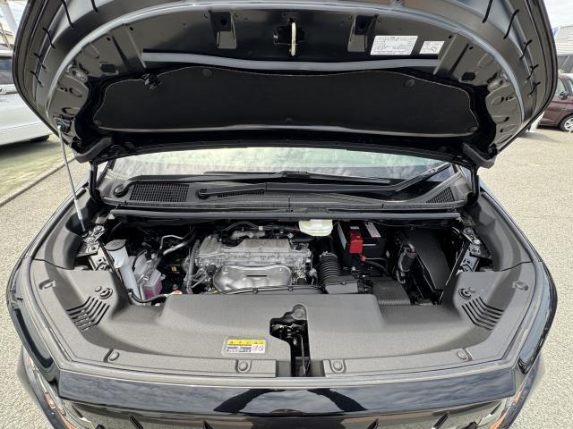 23541184_carP_l_6.jpg