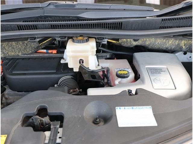 23541211_carP_l_20.jpg