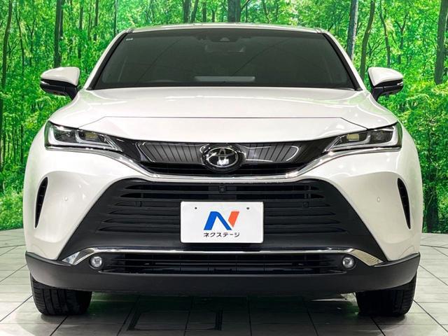 24582042_carP_l_11.jpg