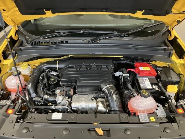 25076950_carP_l_17.jpg
