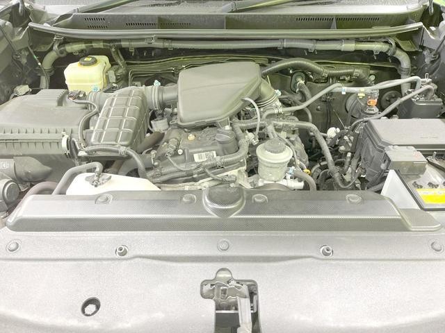 25904366_carP_l_16.jpg