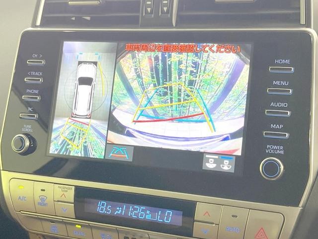 25904366_carP_l_4.jpg