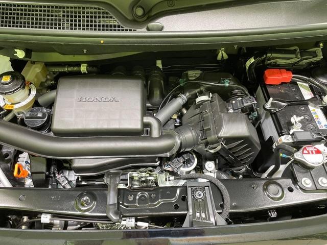 26314990_carP_l_16.jpg