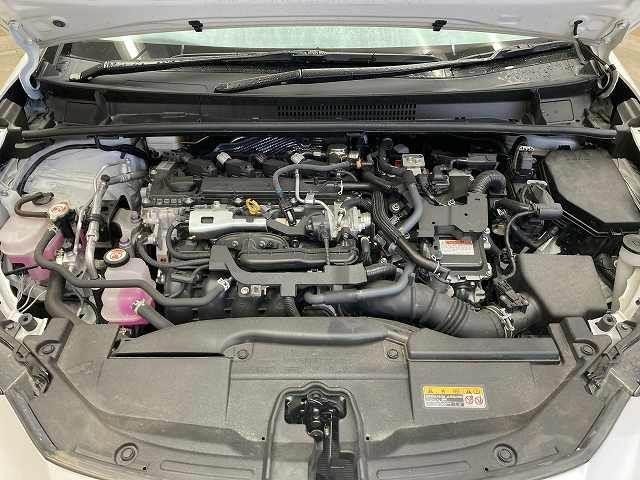 0208264A20260908D00713.jpg