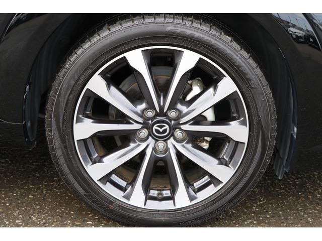 0403706A30260321W00119.jpg
