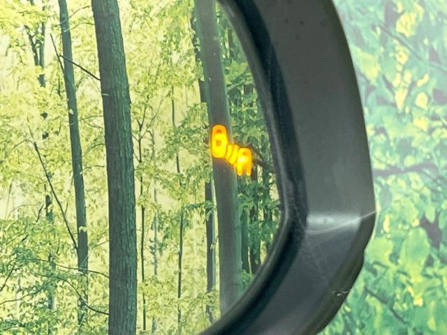 23864873_carP_l_13.jpg