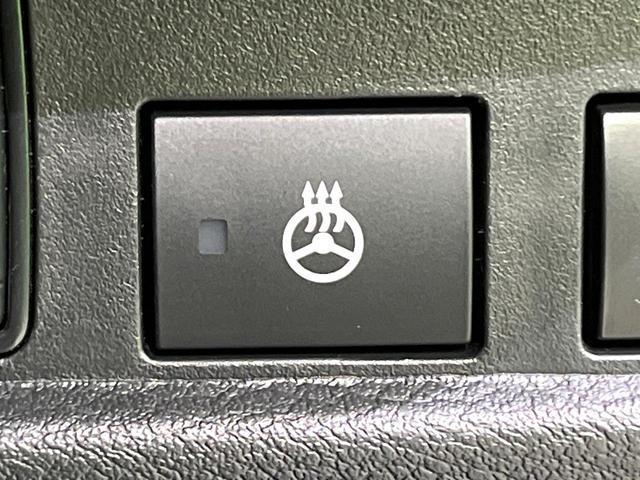 23865077_carP_l_17.jpg