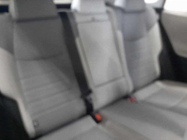 26087988_carP_l_14.jpg