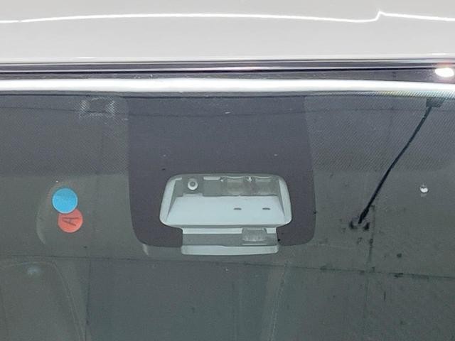 27227244_carP_l_14.jpg