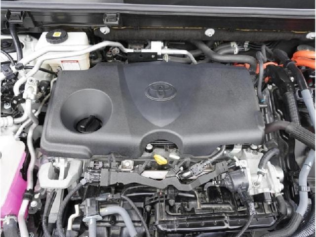 e85faa0e77a2239a886dbe44d24df578.jpeg