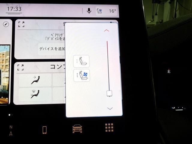 27159837_carP_l_5.jpg