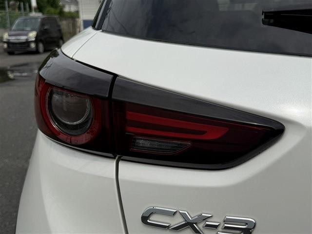 25565208_carP_l_9.jpg