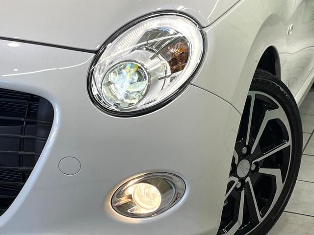 25793123_carP_l_2.jpg