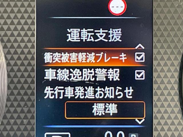 23904745_carP_l_10.jpg